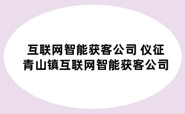 互联网智能获客公司 仪征青山镇互联网智能获客公司